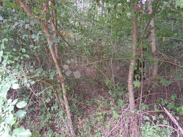 Land For sale - Istarska Buzet - foto 2/2