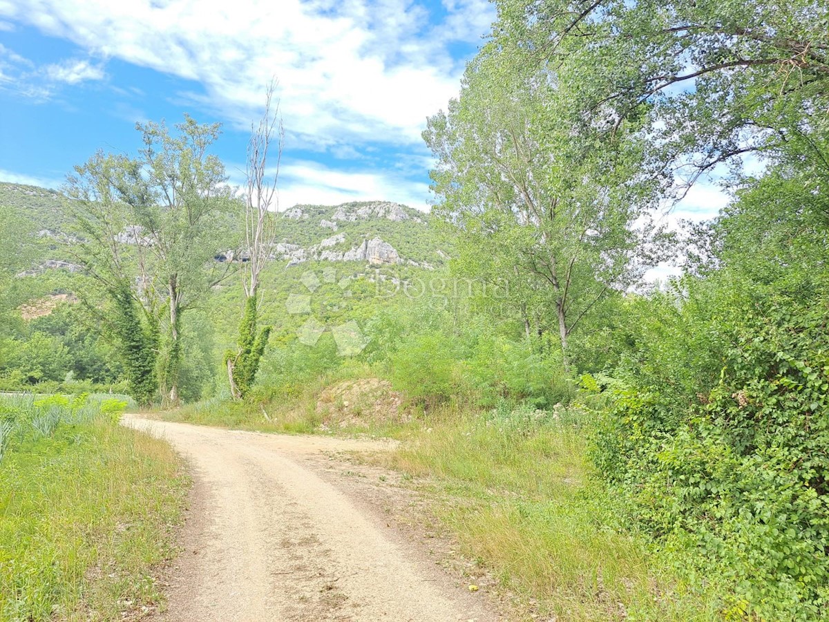 Terreno In vendita - ISTARSKA  BUZET 