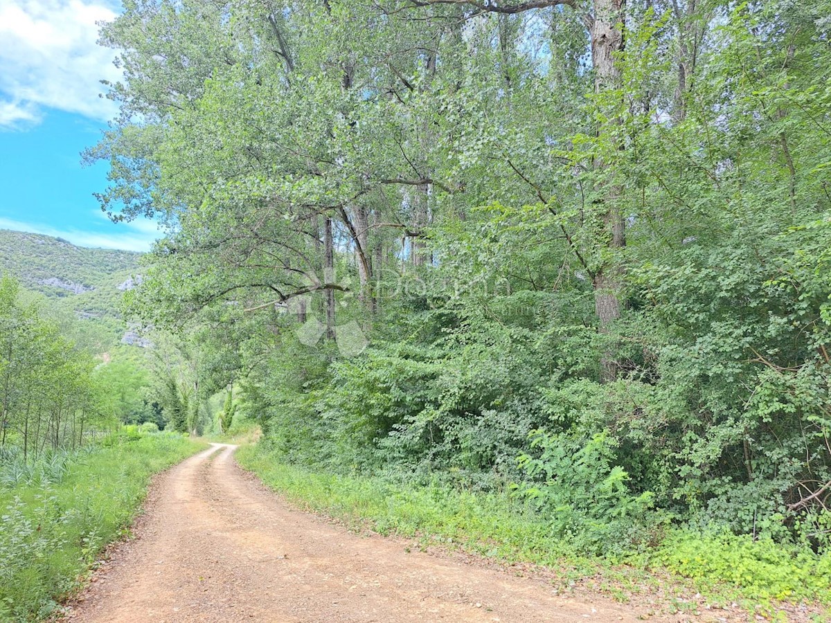 Terreno In vendita - ISTARSKA  BUZET 