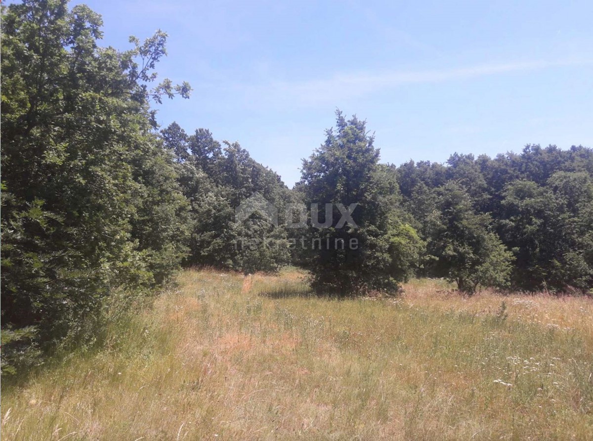 Land For sale - ISTARSKA  PAZIN 