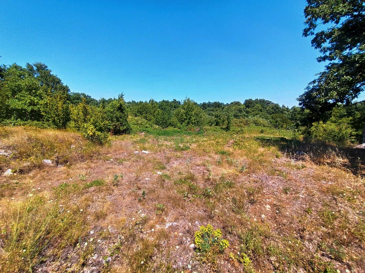 Land For sale - ISTARSKA  SVETVINČENAT 