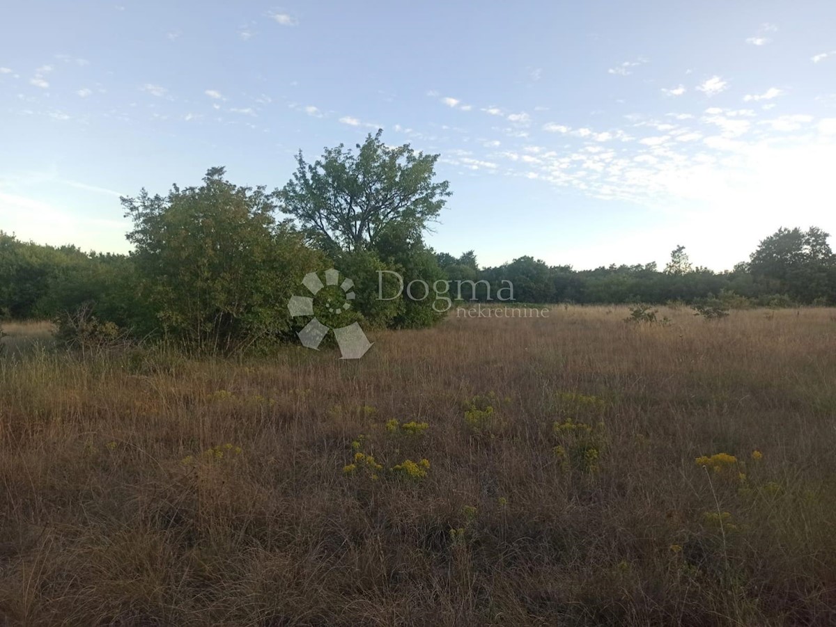 Land For sale - ISTARSKA  MARČANA 