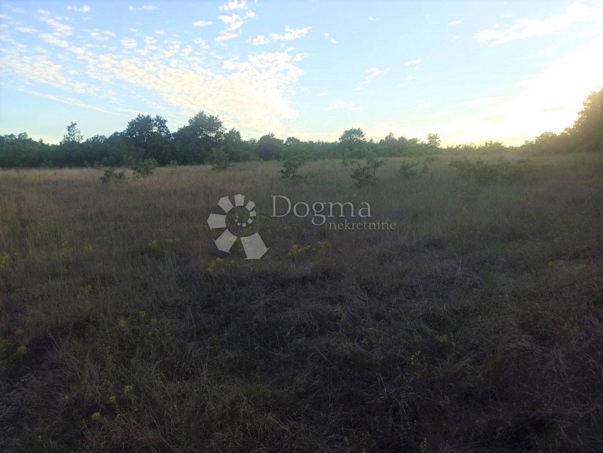 Land For sale - ISTARSKA  MARČANA 