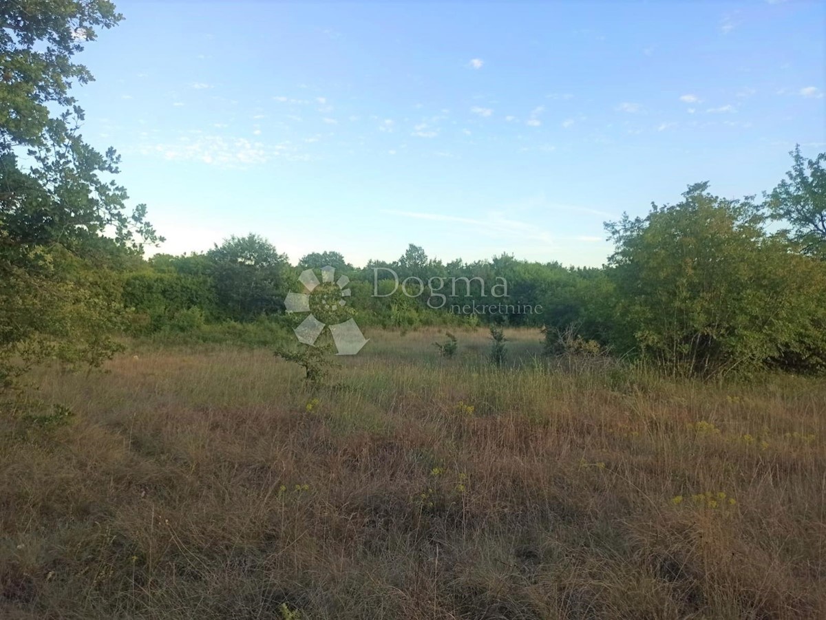 Land For sale - ISTARSKA  MARČANA 