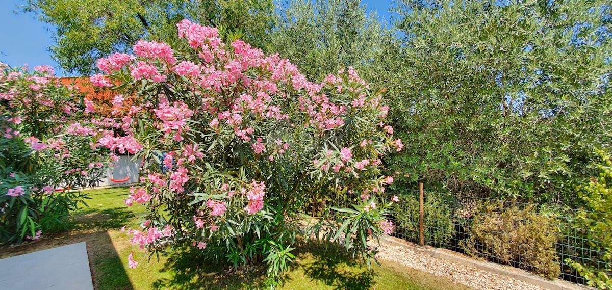 Hiša Naprodaj - ISTARSKA Ližnjan
