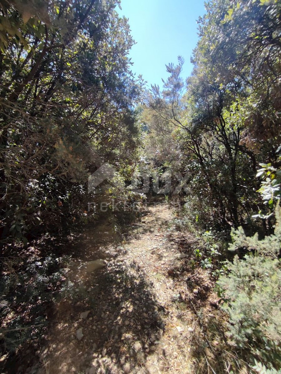 Terrain À vendre - Istarska Marčana - foto 1/8