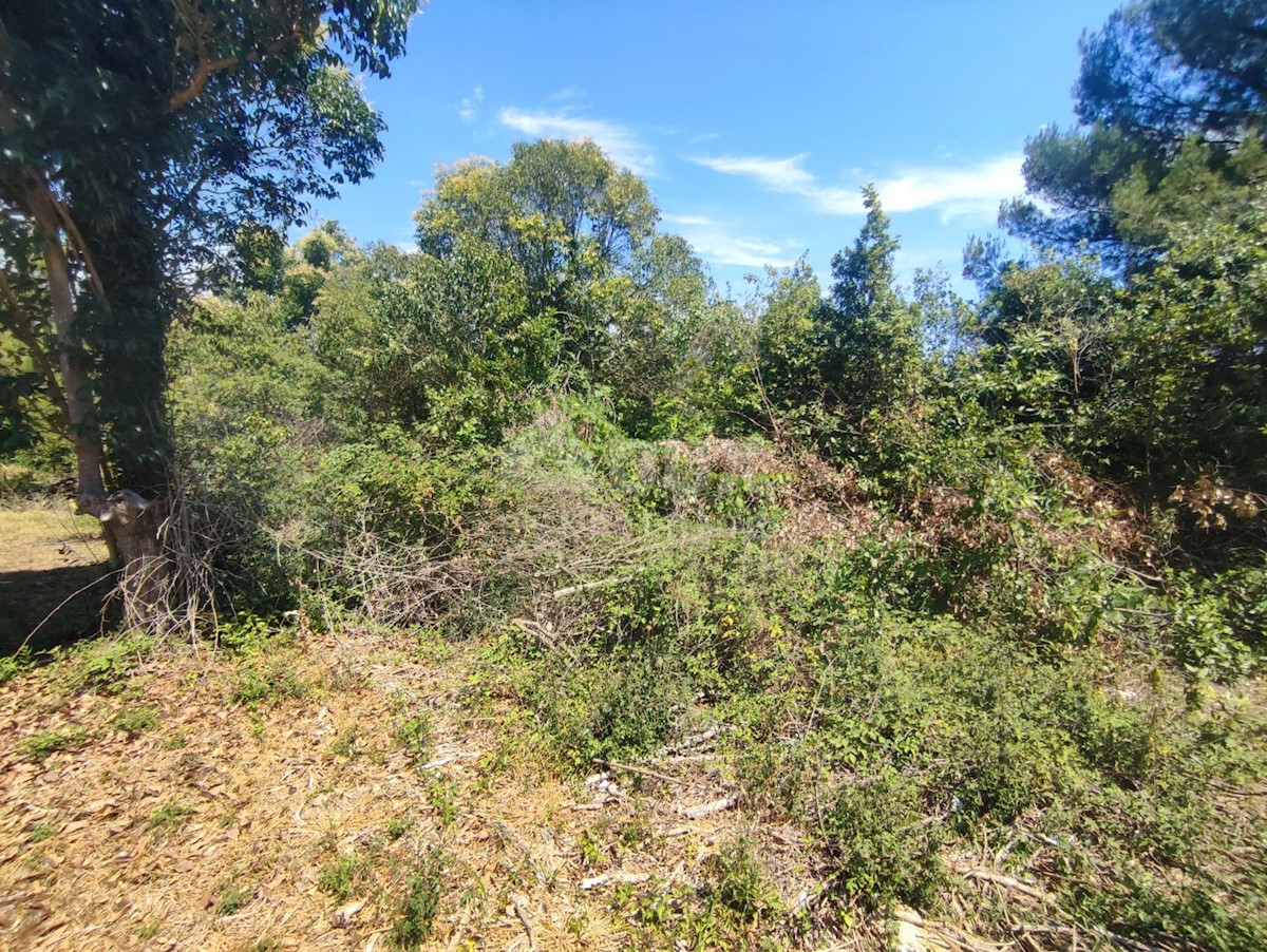 Land For sale - ISTARSKA  MEDULIN 