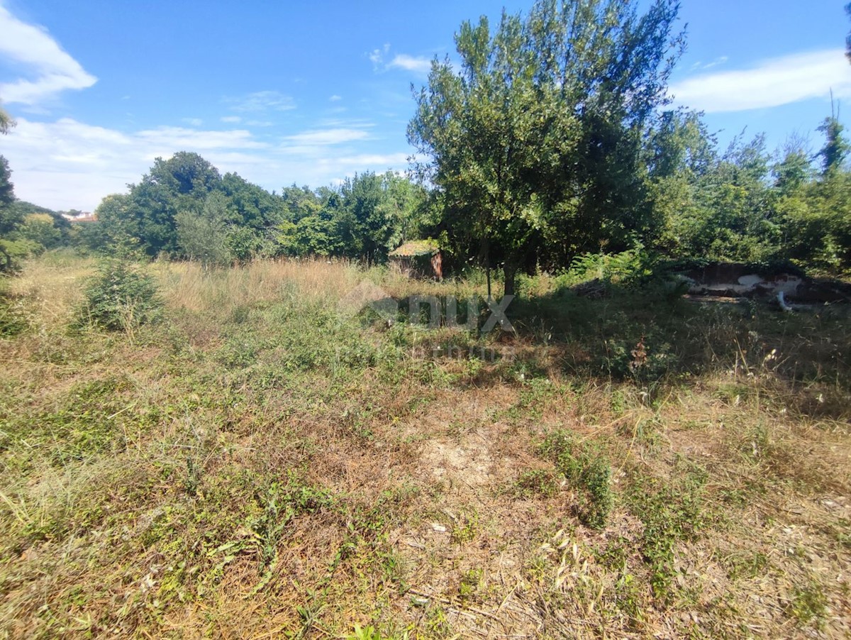 Land For sale - ISTARSKA  MEDULIN 