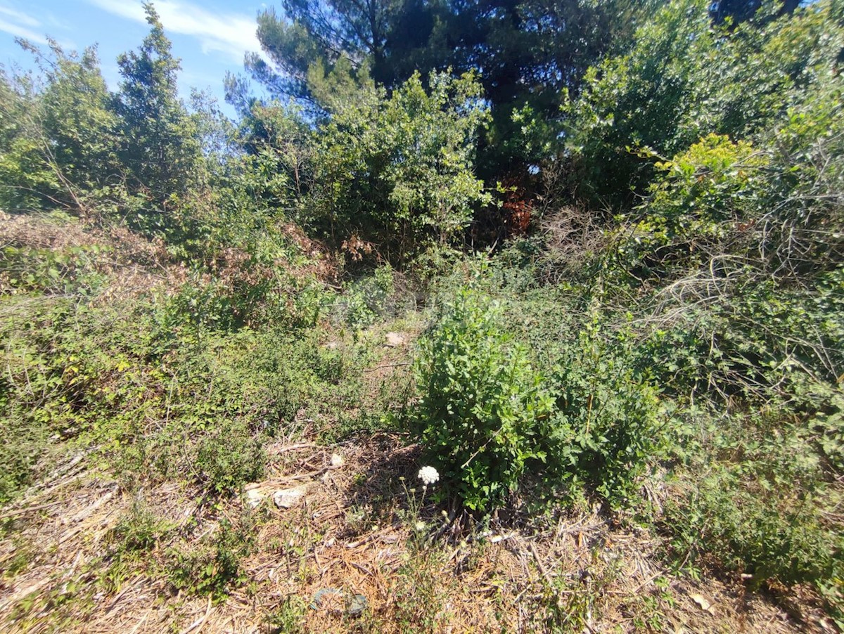 Land For sale - ISTARSKA  MEDULIN 