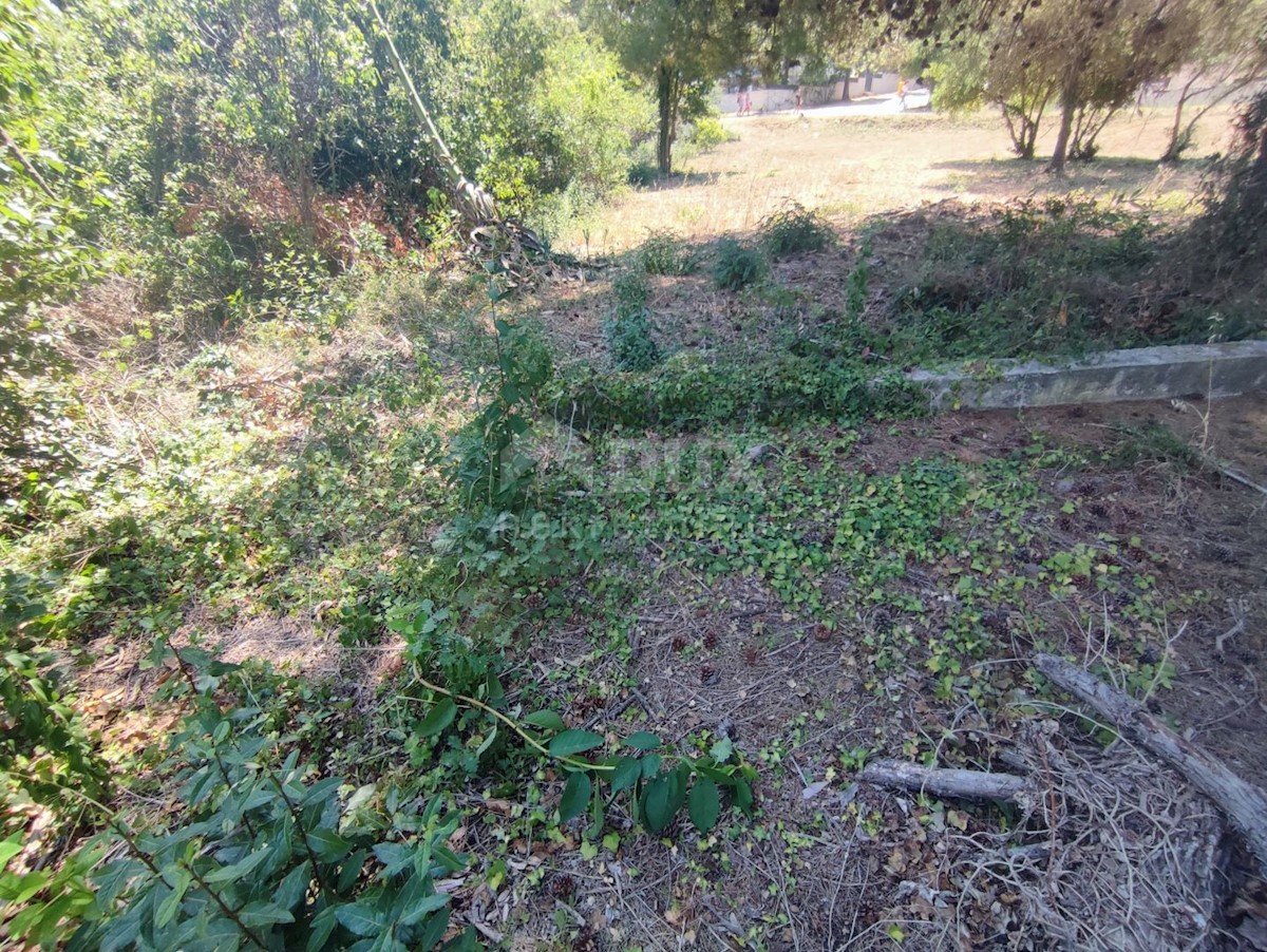 Land For sale - ISTARSKA  MEDULIN 