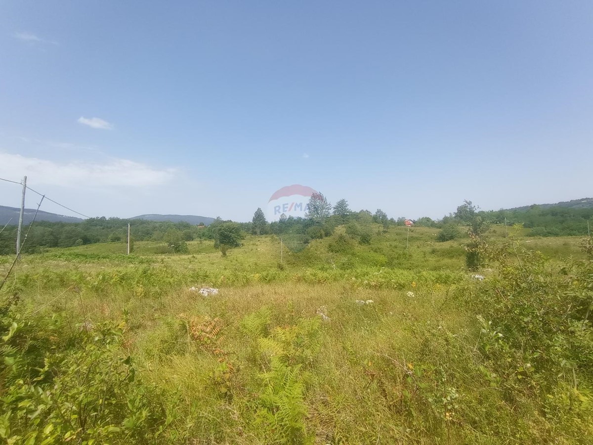 Działka Na sprzedaż - Karlovačka Generalski Stol - foto 1/2
