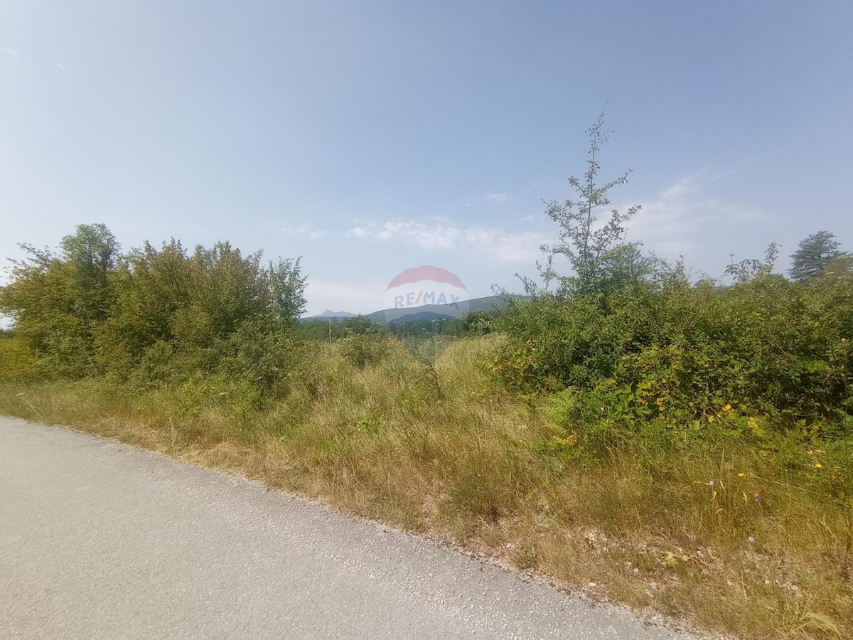 Działka Na sprzedaż - Karlovačka Generalski Stol - foto 2/2
