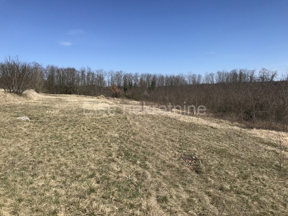 Land For sale - ISTARSKA  PAZIN 