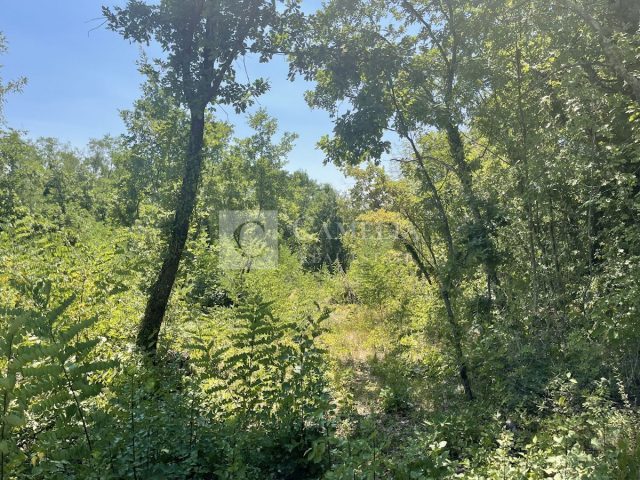 Pozemek na prodej 3407 m² – Novaki Motovunski