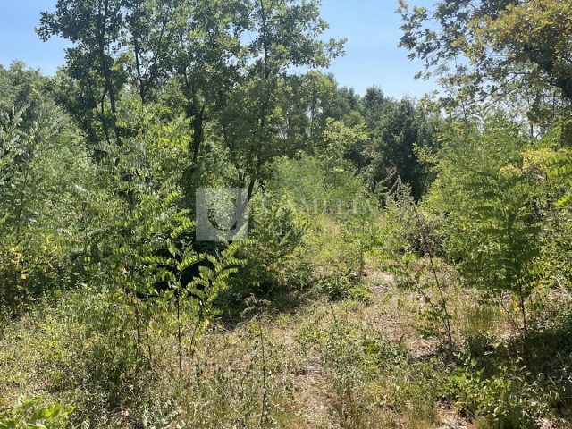 Działka Na sprzedaż - Istarska Karojba - foto 5/5