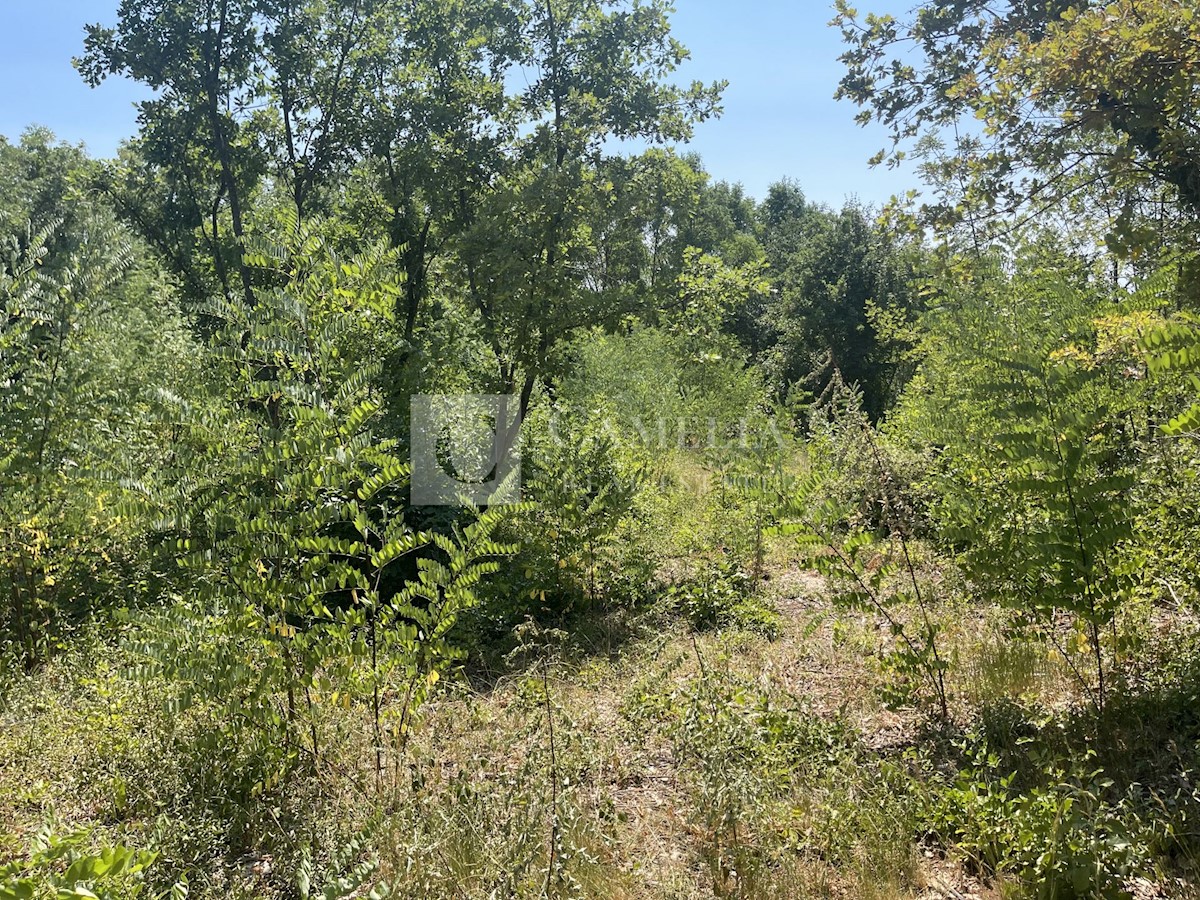 Terreno In vendita - ISTARSKA  KAROJBA 