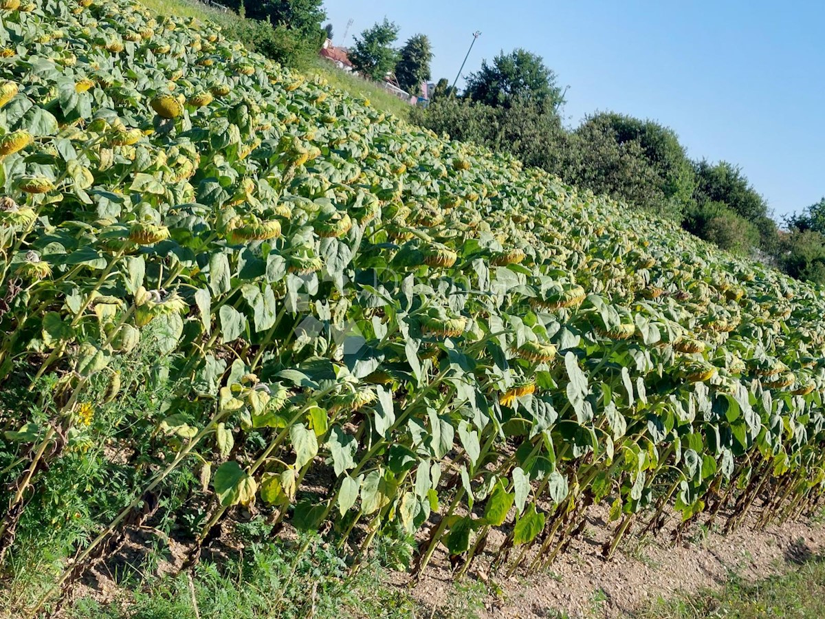 Parcela Naprodaj - VARAŽDINSKA  Varaždin