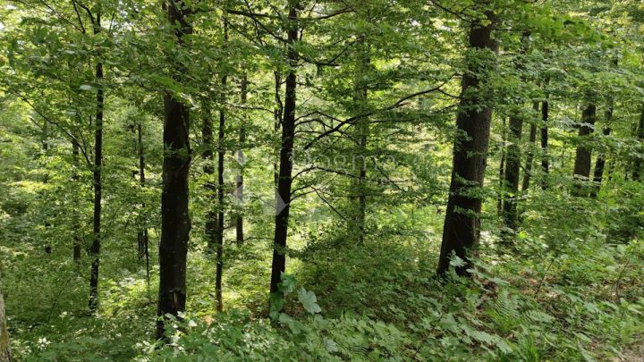 Pozemok na predaj 22382 m² – Fužine