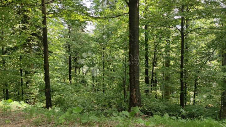 Pozemek Na prodej - Primorsko-goranska Fužine - foto 2/5