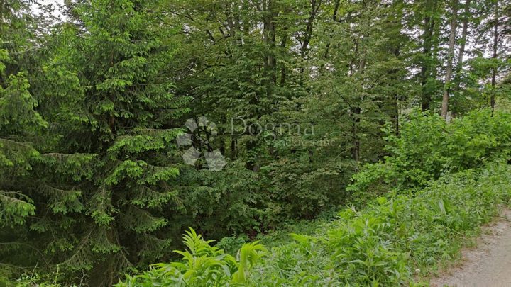 Pozemek Na prodej - Primorsko-goranska Fužine - foto 3/5