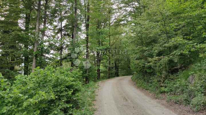 Pozemek Na prodej - Primorsko-goranska Fužine - foto 4/5