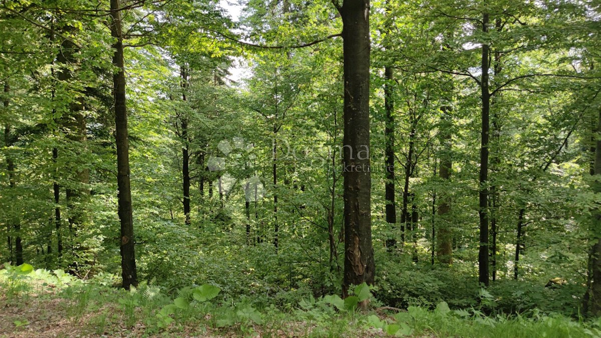 Land For sale - PRIMORSKO-GORANSKA  FUŽINE 