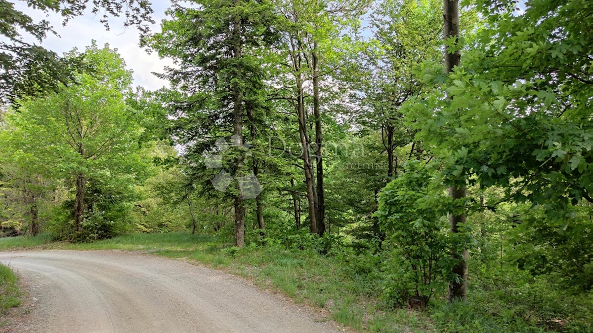 Terreno In vendita - PRIMORSKO-GORANSKA  Fužine