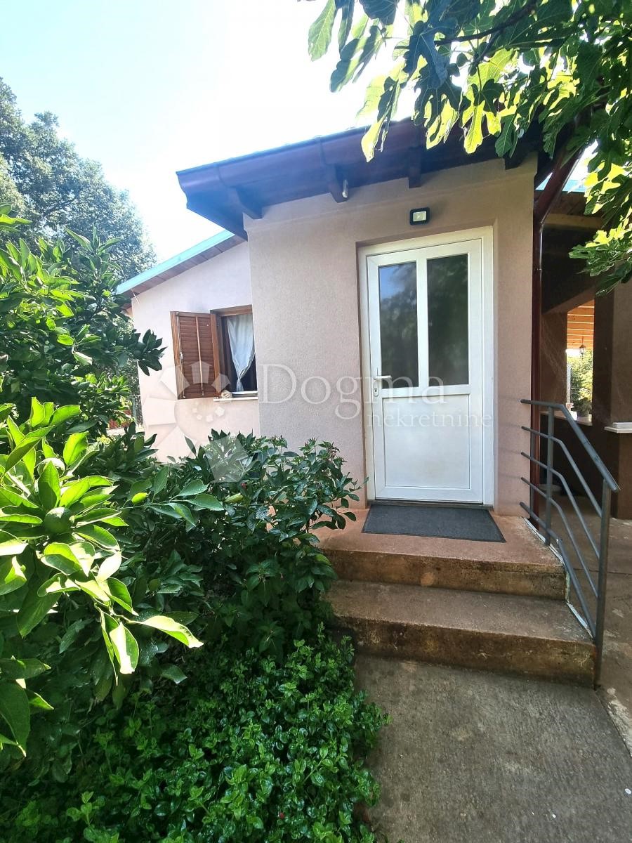 House For sale - ISTARSKA  LIŽNJAN 