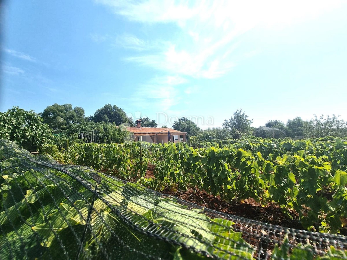 Casa In vendita - ISTARSKA  LIŽNJAN 