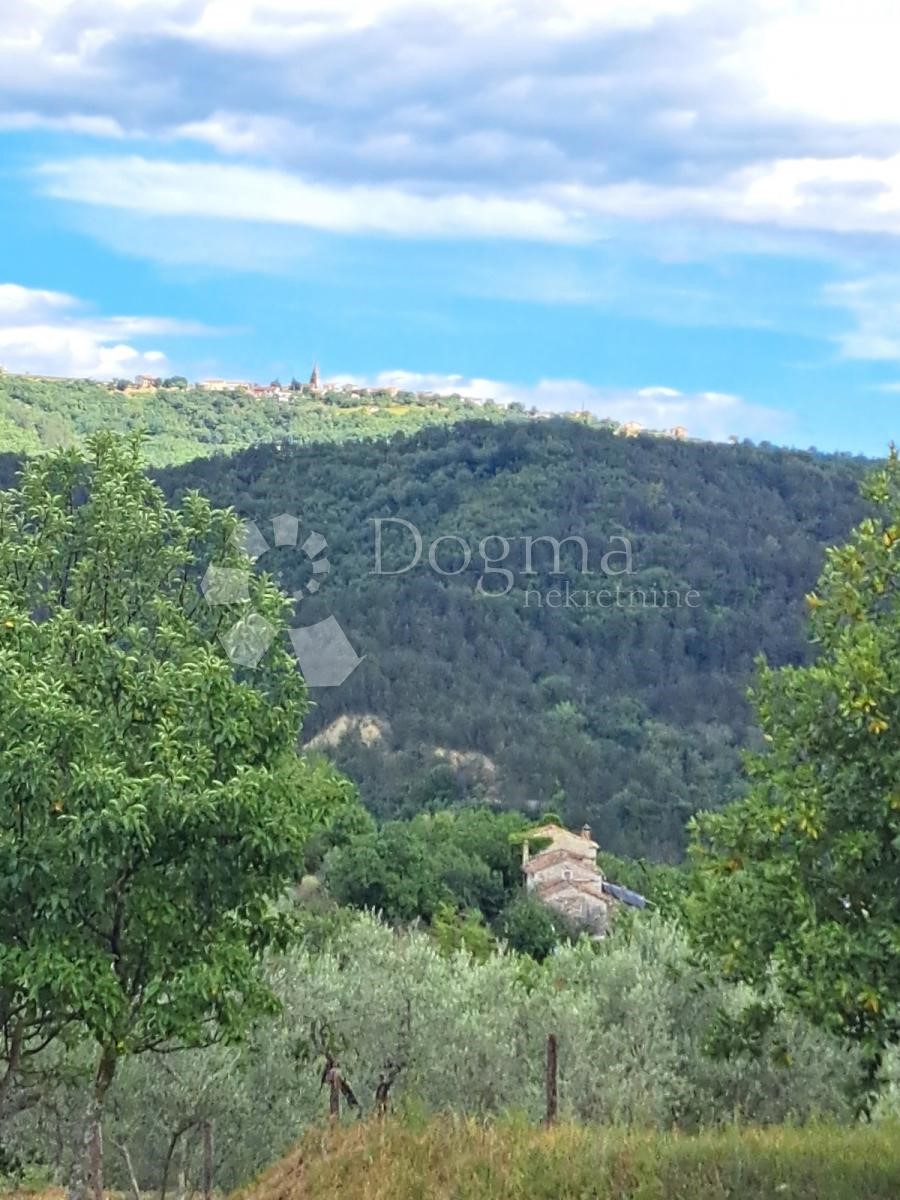 Parcela Naprodaj - ISTARSKA  Buzet