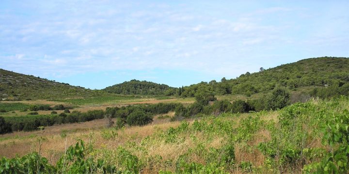 Zemljište na prodaju – Vis