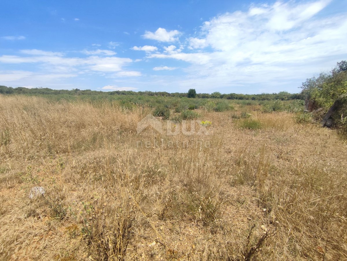 Land For sale - Istarska Pula - foto 1/7