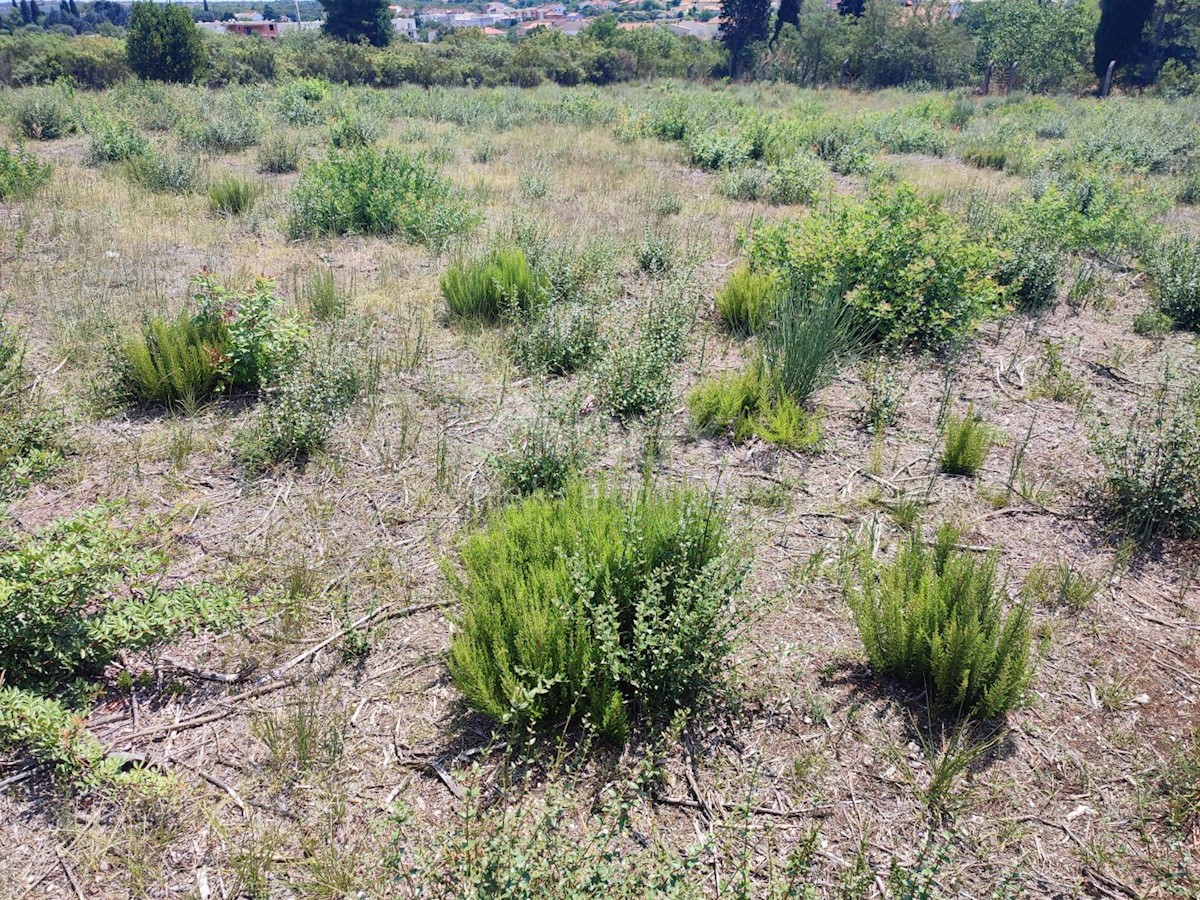 Land For sale - ISTARSKA  PULA 