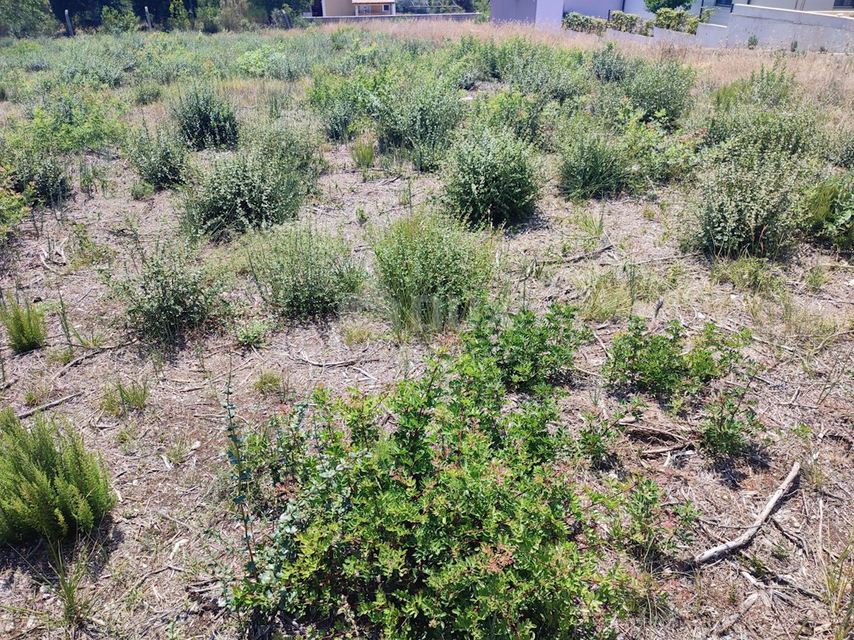 Land For sale - ISTARSKA  PULA 