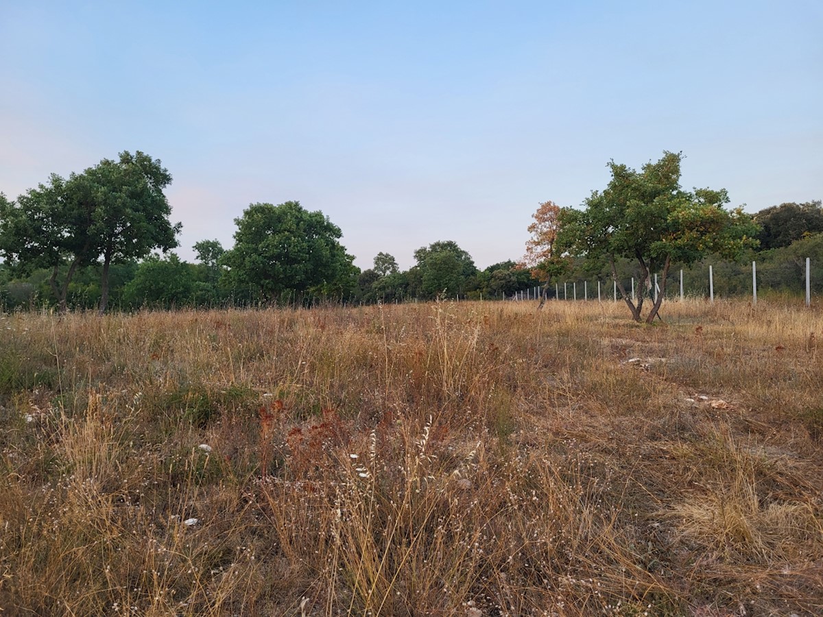 Land For sale - ISTARSKA  BALE 