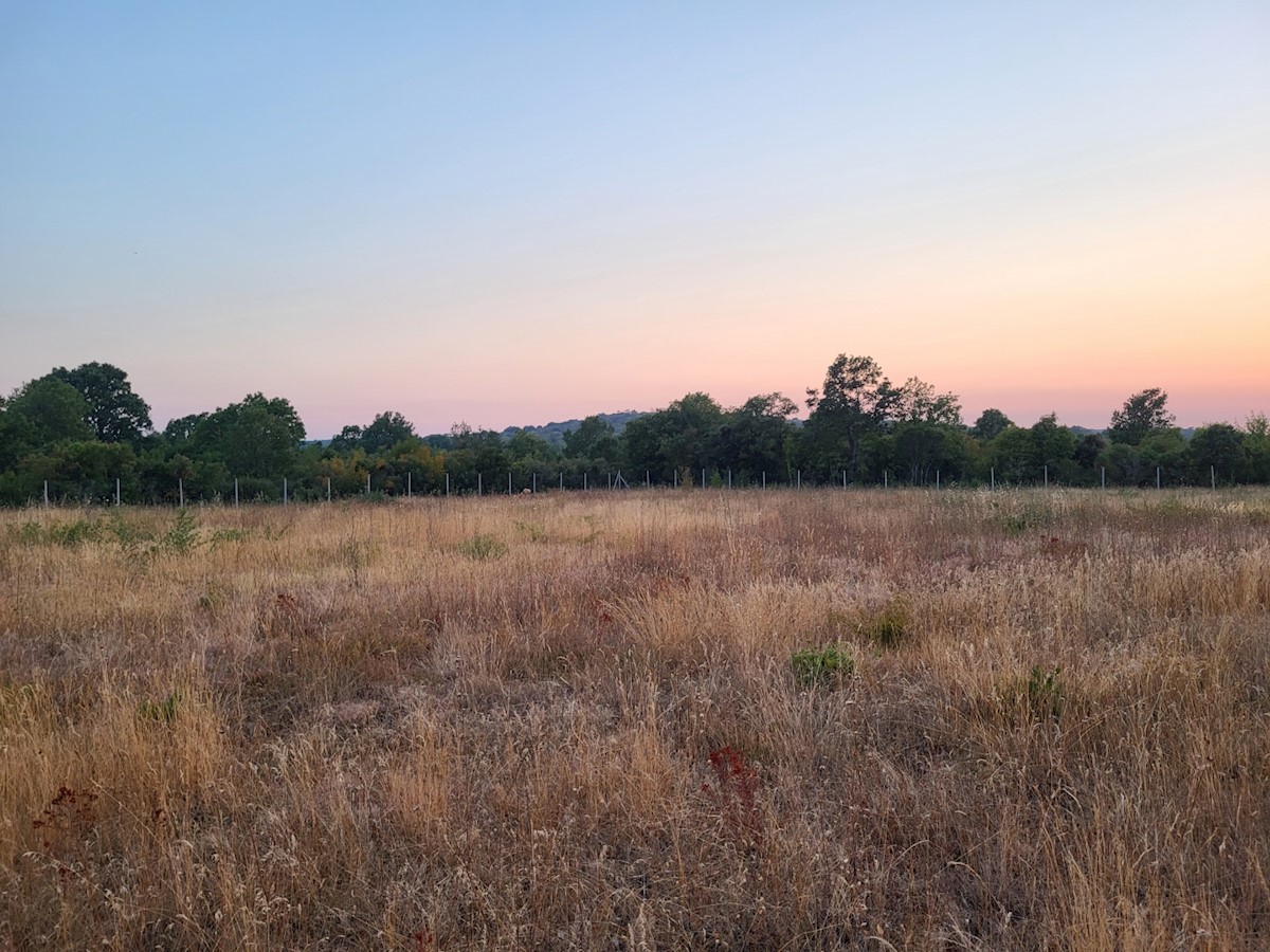 Terreno In vendita - ISTARSKA  BALE 