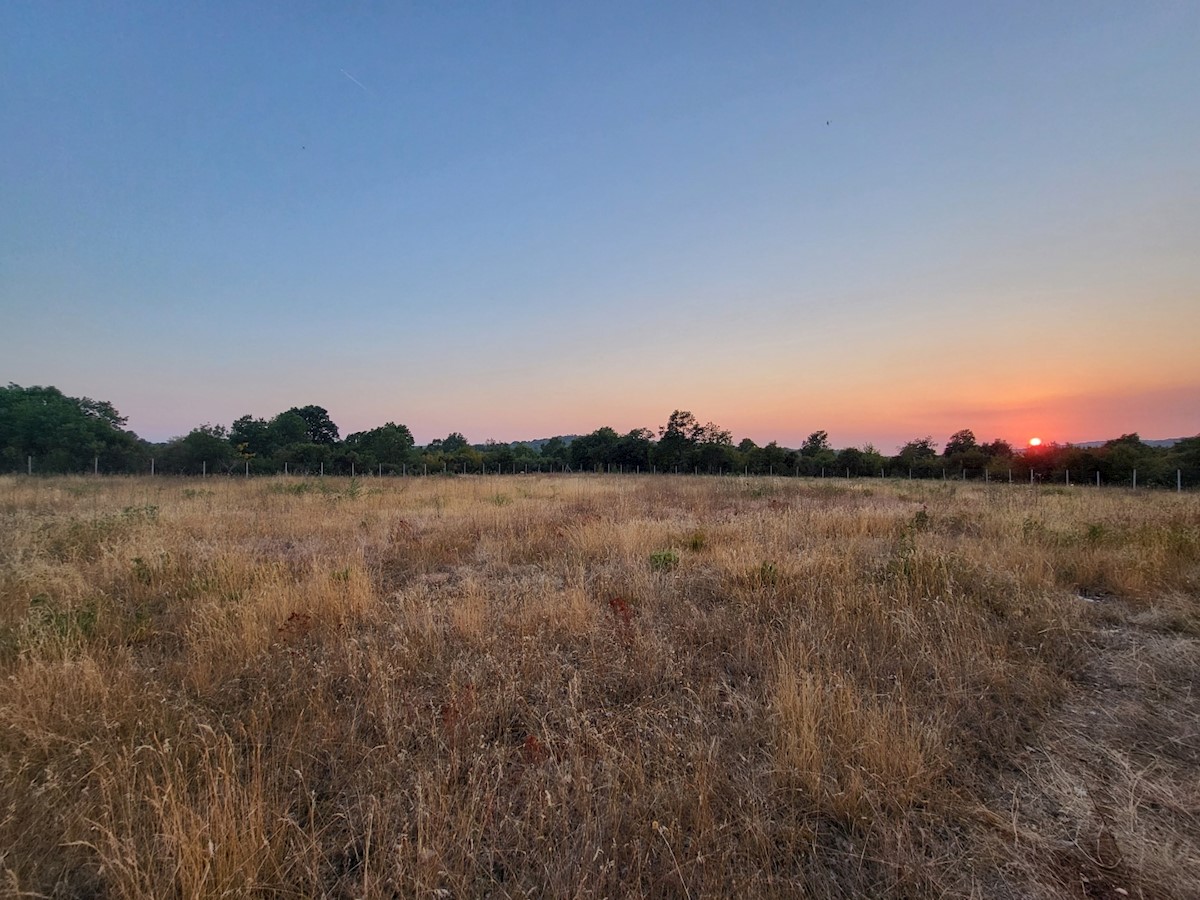 Terreno In vendita - ISTARSKA  BALE 