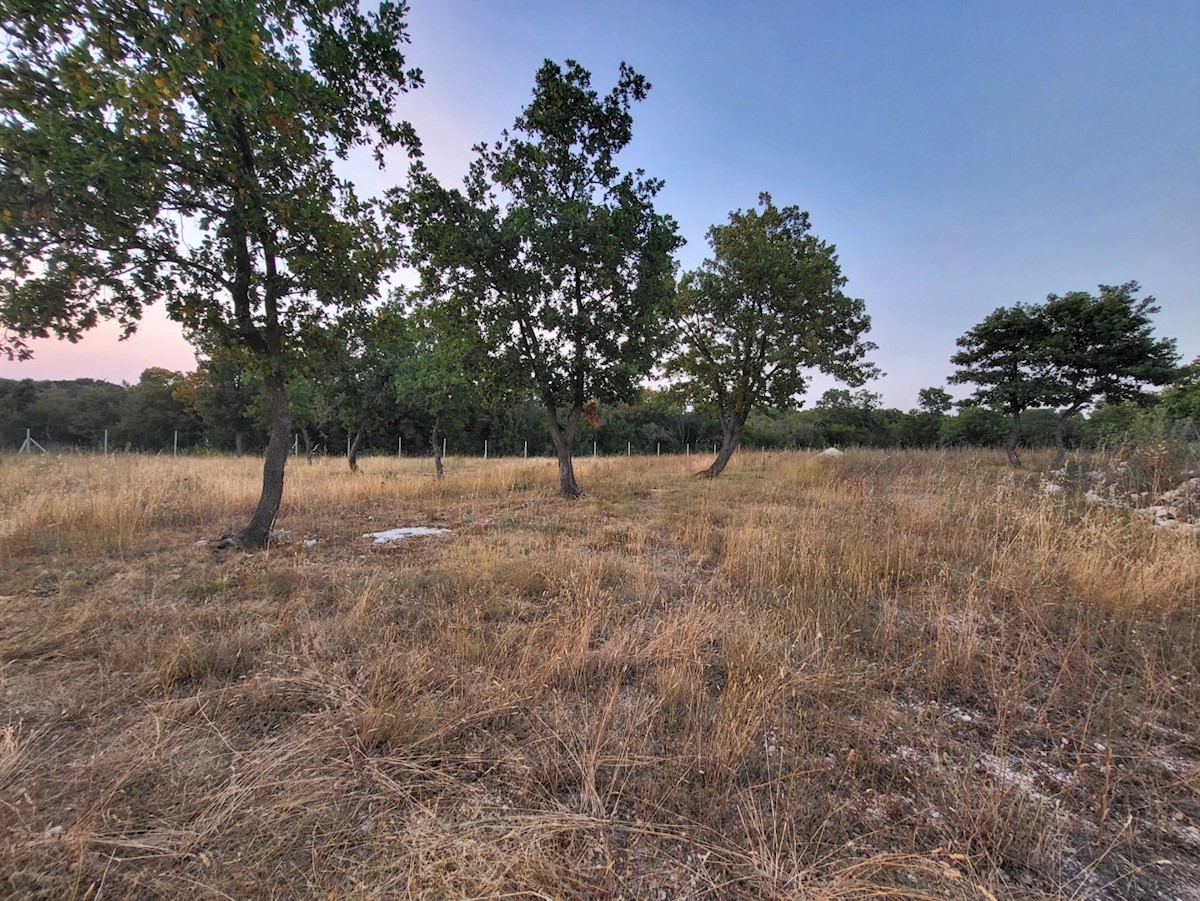 Land For sale - ISTARSKA  BALE 