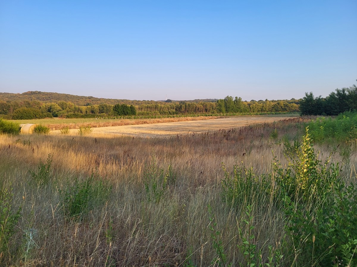 Pozemok Na predaj - ISTARSKA  BALE 