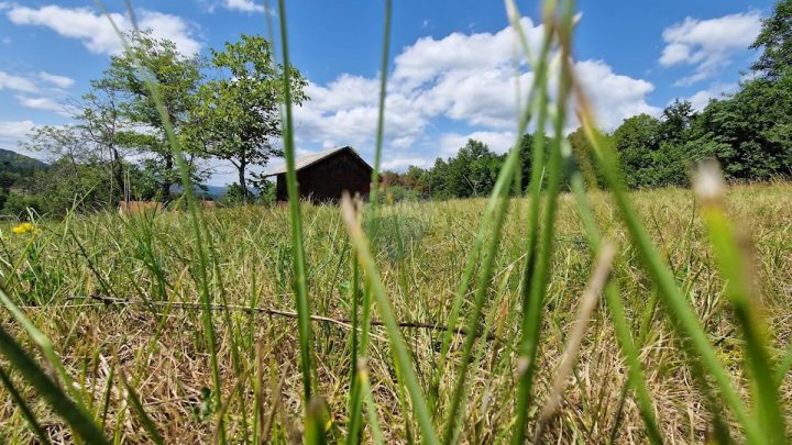 Parcela na predaj 3100 m² – Plemenitaš
