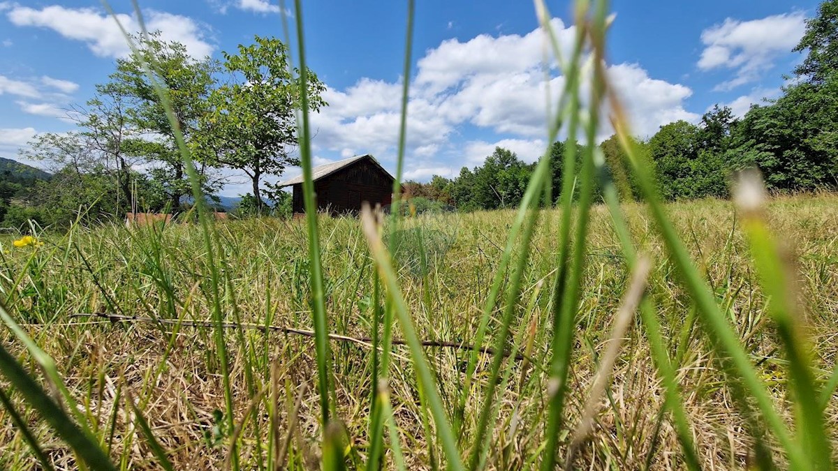Pozemok Na predaj PLEMENITAŠ