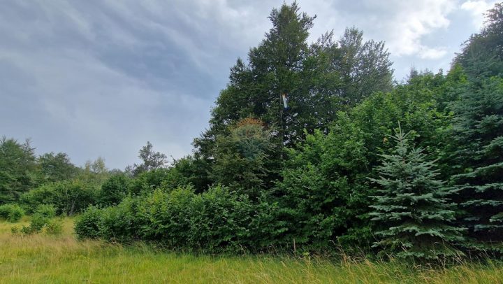 Działka na sprzedaż 9970 m² – Delnice