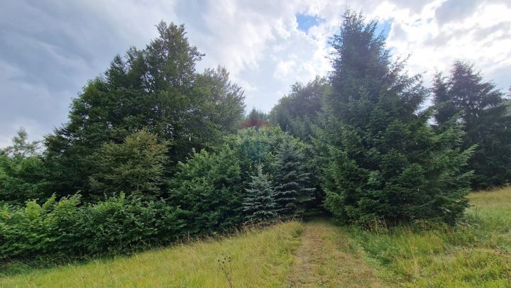 Land For sale - Primorsko-goranska Delnice - foto 2/2
