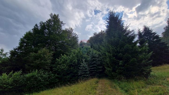 Parcela Naprodaj - Primorsko-goranska Delnice - foto 3/3