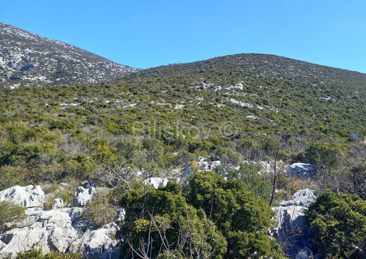 Terreno In vendita - DUBROVAČKO-NERETVANSKA  OREBIĆ 