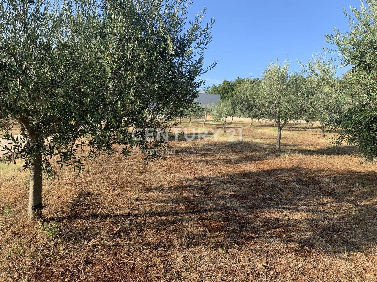 Land For sale - ISTARSKA  BRTONIGLA 