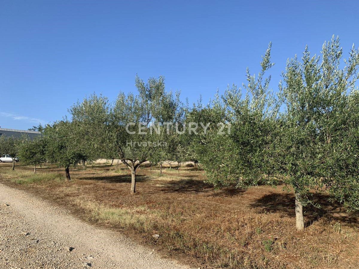 Land For sale - ISTARSKA  BRTONIGLA 