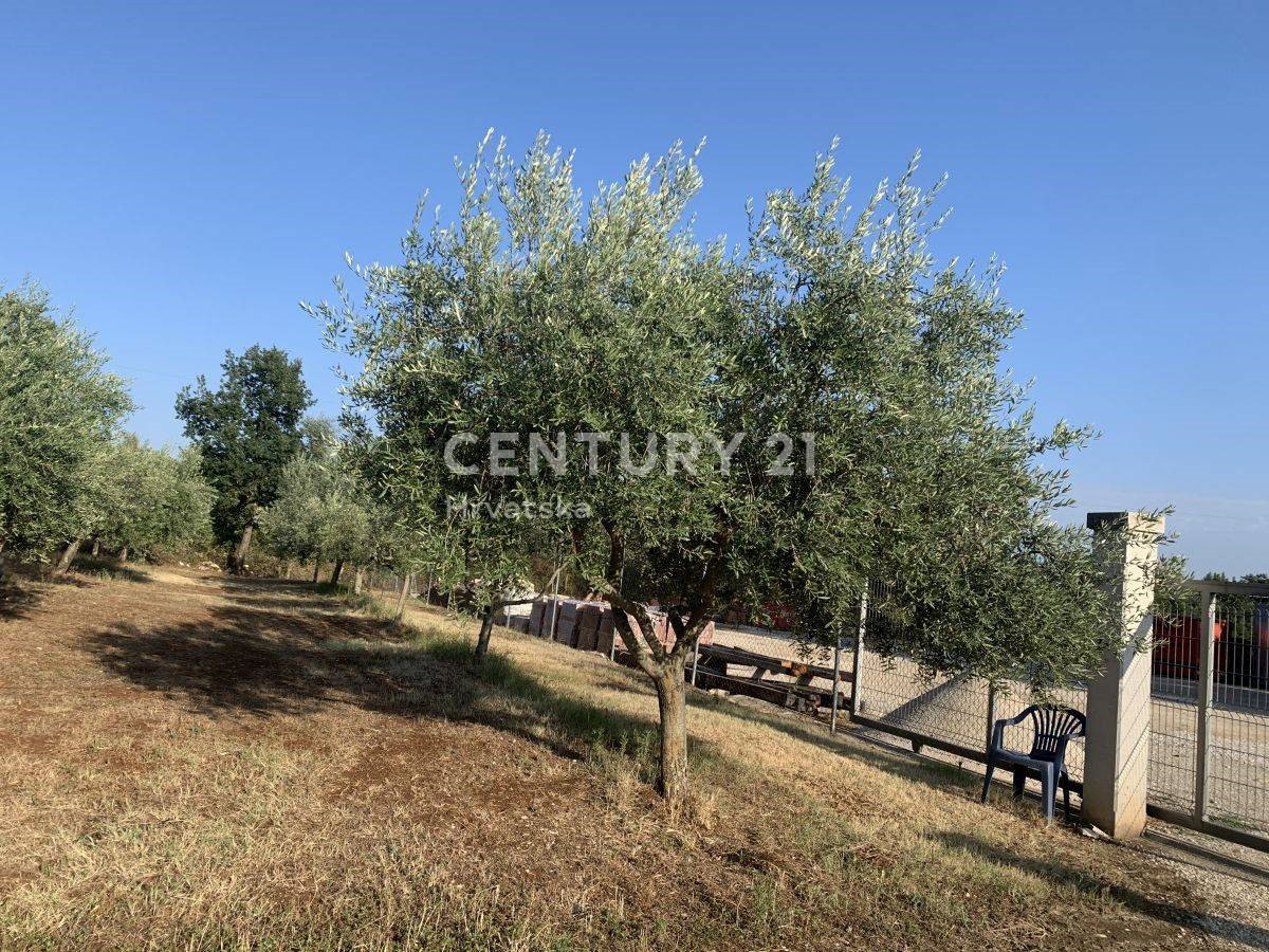 Land For sale - ISTARSKA  BRTONIGLA 