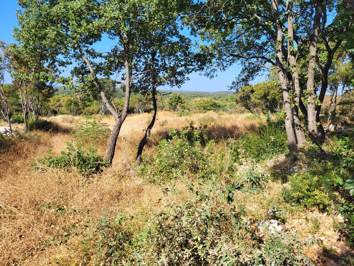 Terreno In vendita - ISTARSKA  BALE 