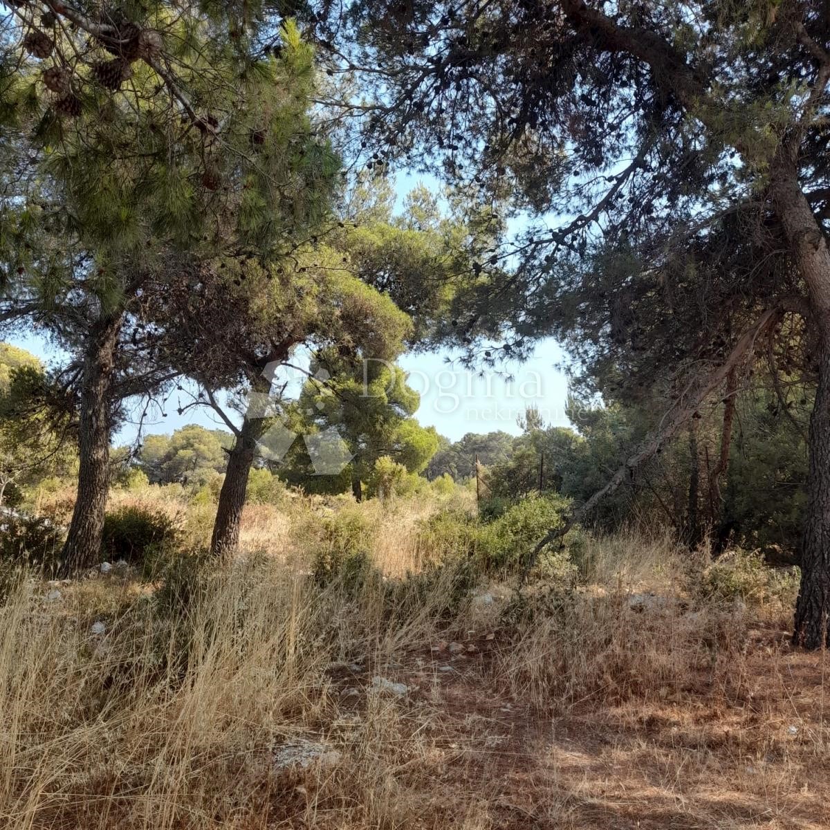 Grundstück Zu verkaufen - ZADARSKA  BIOGRAD NA MORU 